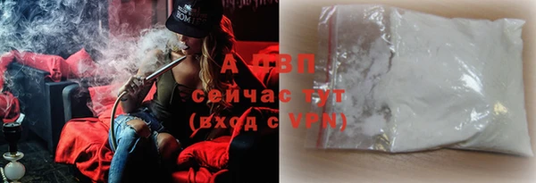 СК Белокуриха