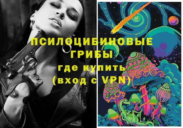 ПСИЛОЦИБИНОВЫЕ ГРИБЫ Беломорск
