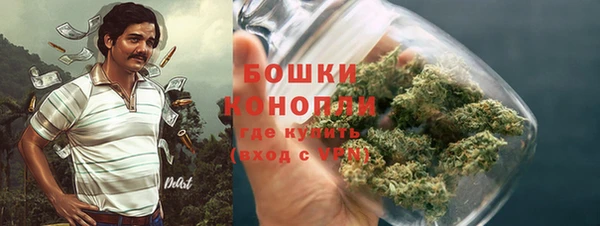 ПСИЛОЦИБИНОВЫЕ ГРИБЫ Беломорск